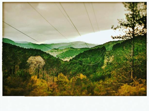 13119971_10209591716410778_6386839534105091771_o