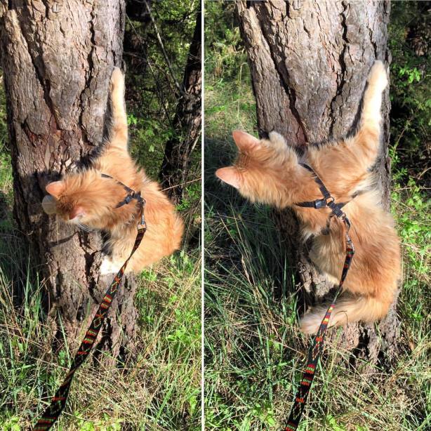 13123335_10209619825113478_7487370997251238629_o