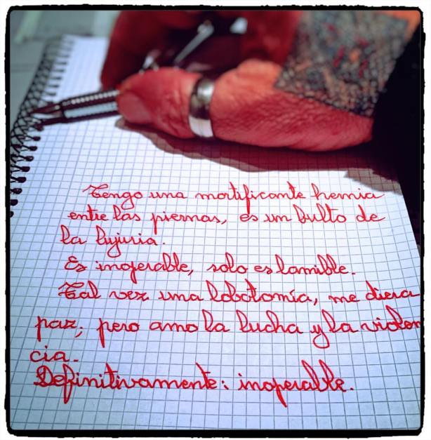 13217321_10209668710935593_3088918693899048496_o