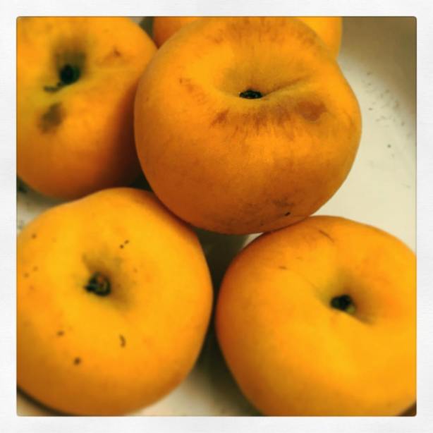 13301268_10209802321835782_5014449038518971872_o