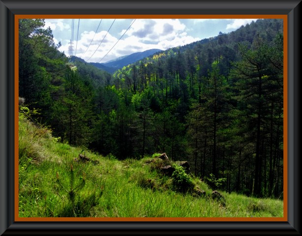 Un premio de vista def