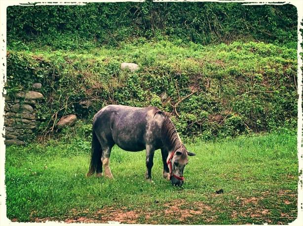 13517608_10210000505590252_7867033177275218018_o