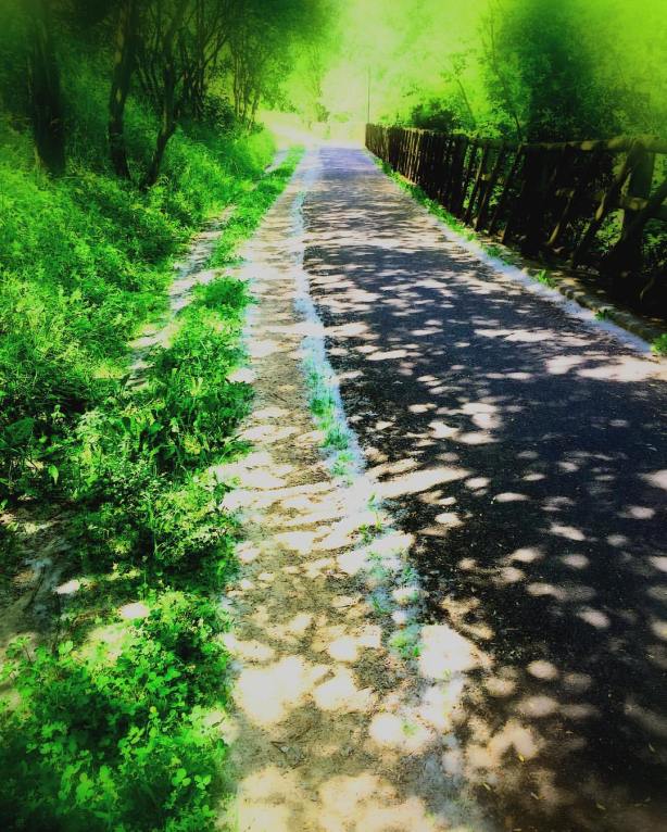 13558650_10210035850873862_4742550495176192748_o