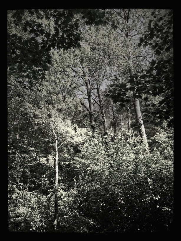 El hambre de la vida