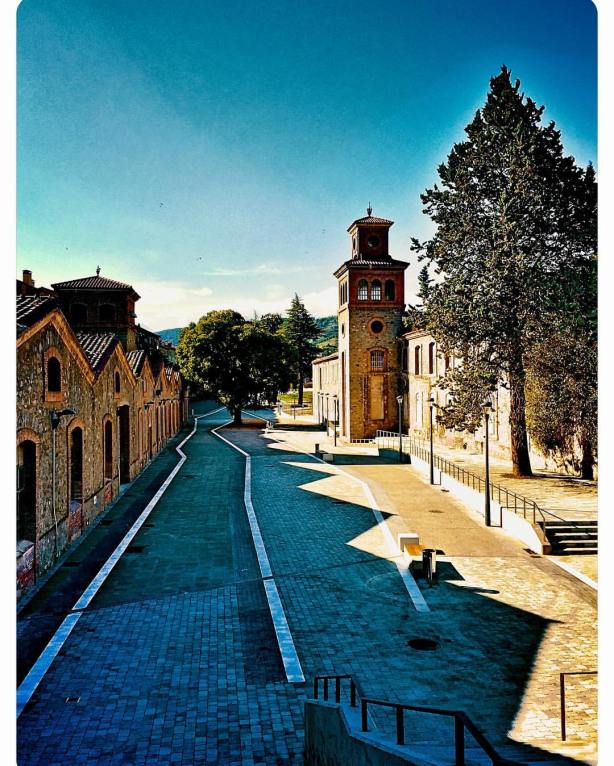 13710563_10210209522655548_3451316445972306683_o