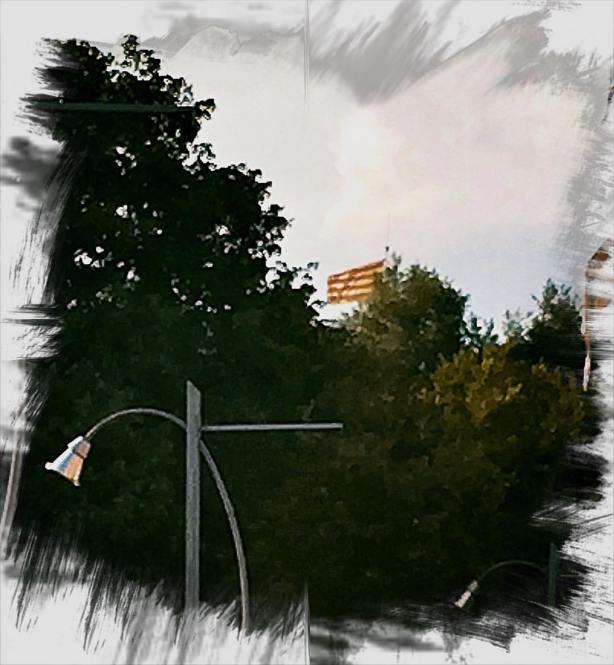 13767248_10210308226523083_1291549738840743597_o