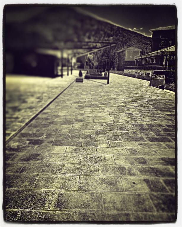 13920384_10210435440903363_6953465227675842973_o