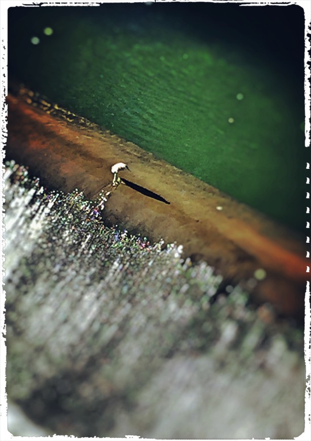 ca019960-4dd2-4761-8e97-8715ab406a6a