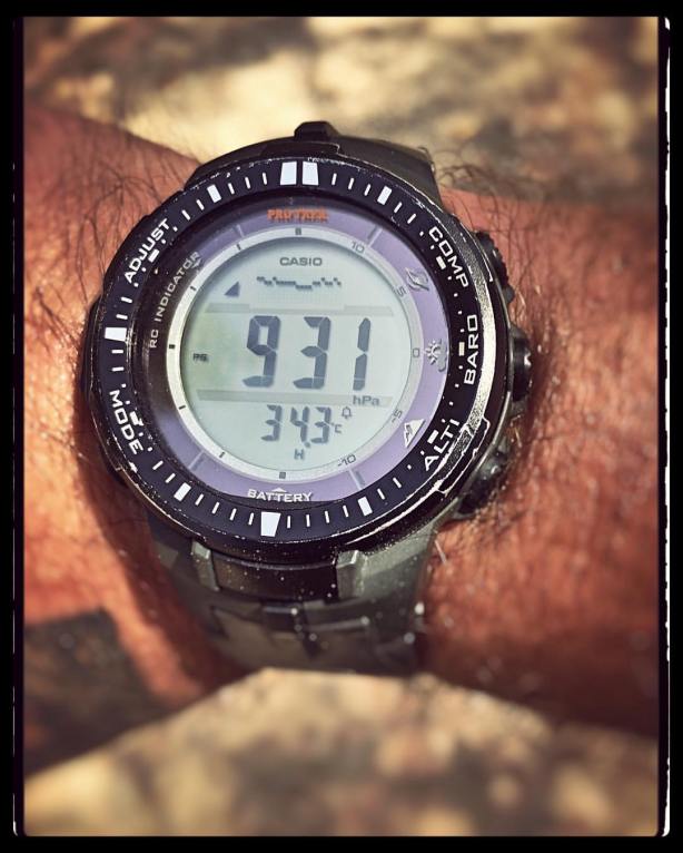 14195185_10210650007187386_2233928541654444563_o