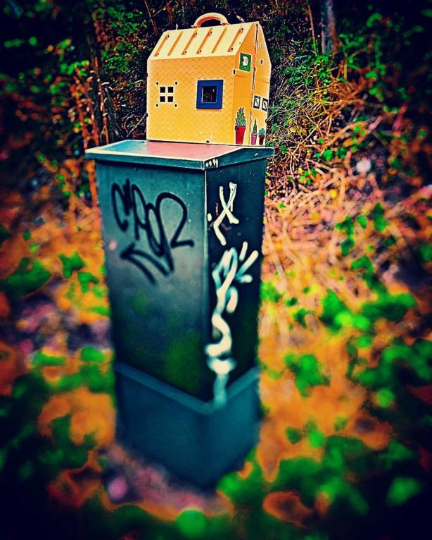 14249710_10210707925275302_8193991850505660615_o