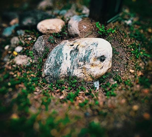 14372458_10210744417987597_1505985478572968742_o