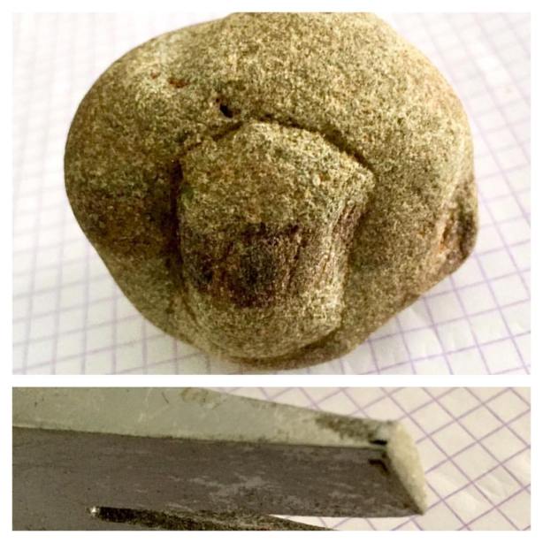 14560135_10210910970191298_6051178462992107997_o