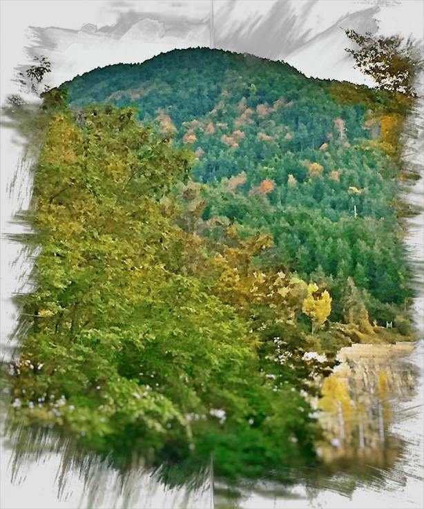 14711453_10211134304174508_4372460742150809442_o