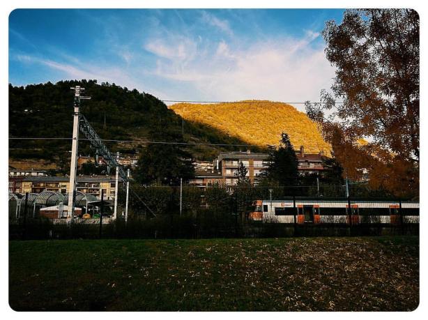 14884585_10211185577696314_8840613517590125956_o