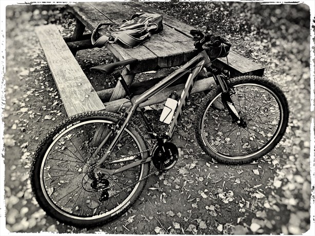 b3bcecfd-12ff-44cc-b7c4-103febcf9c86