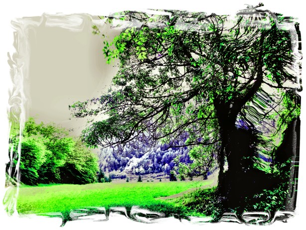 la-dimension-amor-ruta-fuentes-fuji-oct-2016