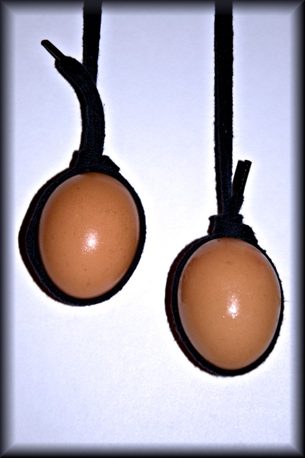 sincronismo-oct-2016-nikon