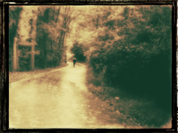 soledad-oct-2016-fuji