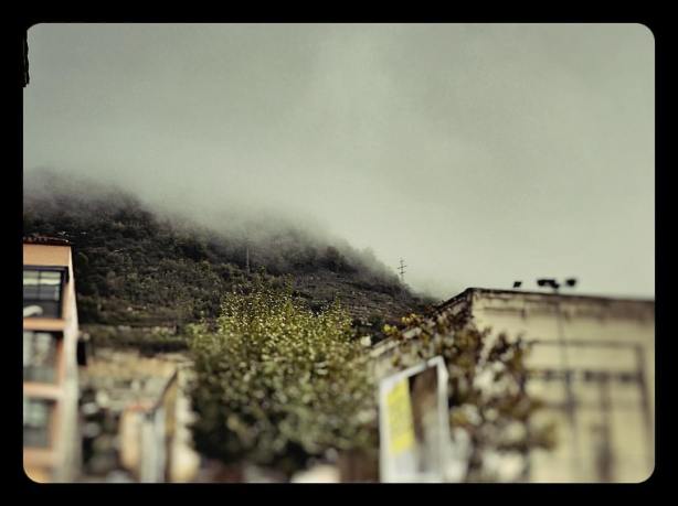 15003266_10211363803791855_3346399204391812667_o