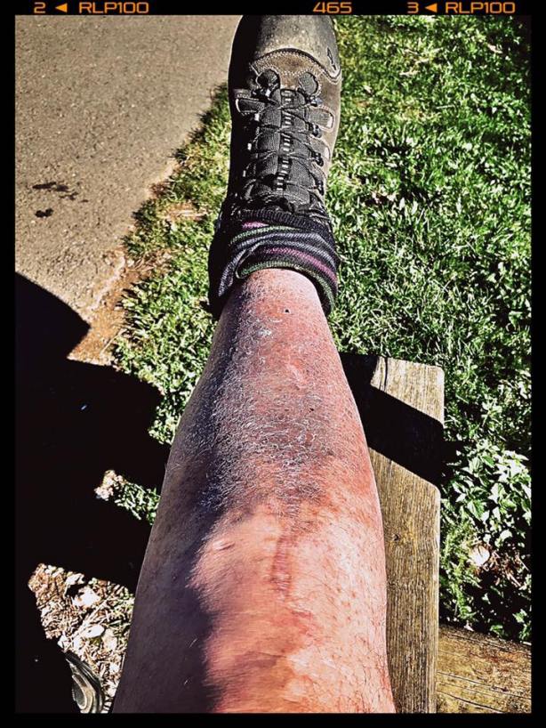 15037290_10211372822857326_1993918479939395872_n