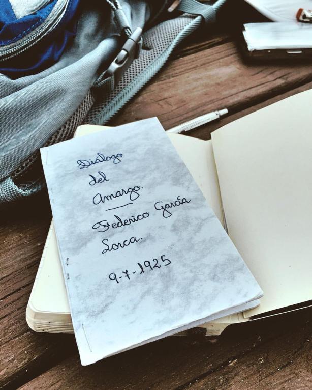 15128826_10211409523574821_1093580121003496459_o