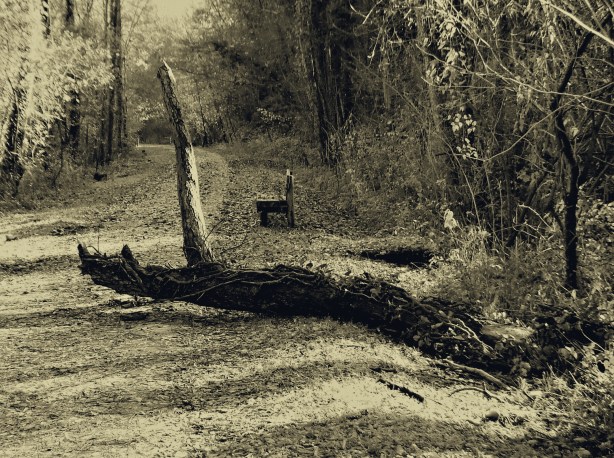 anonimos-muertos-nov-2016-ruta-hierro-fuji