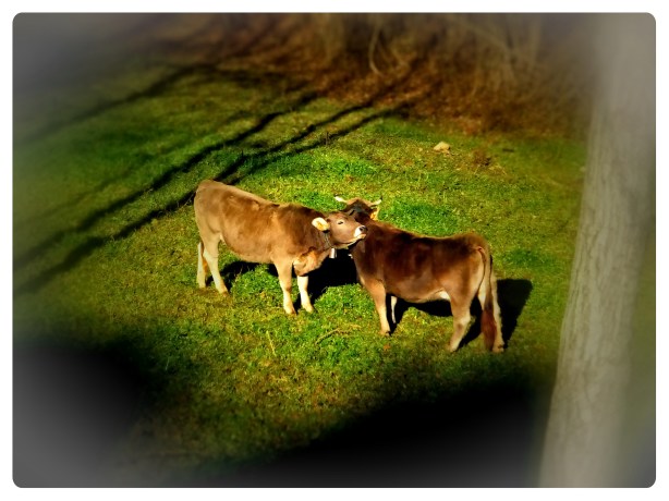 inhumana-ternura-nov-2016-ruta-hierro-fuji