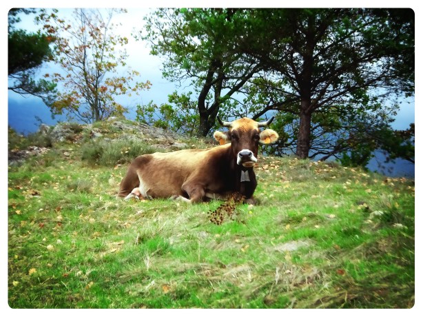 mismo-tiempo-mismo-lugar