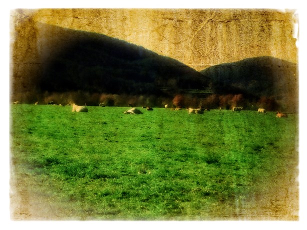 brindis-por-los-suenos-muertos-y-vivos-dic-2016-fuji-copy