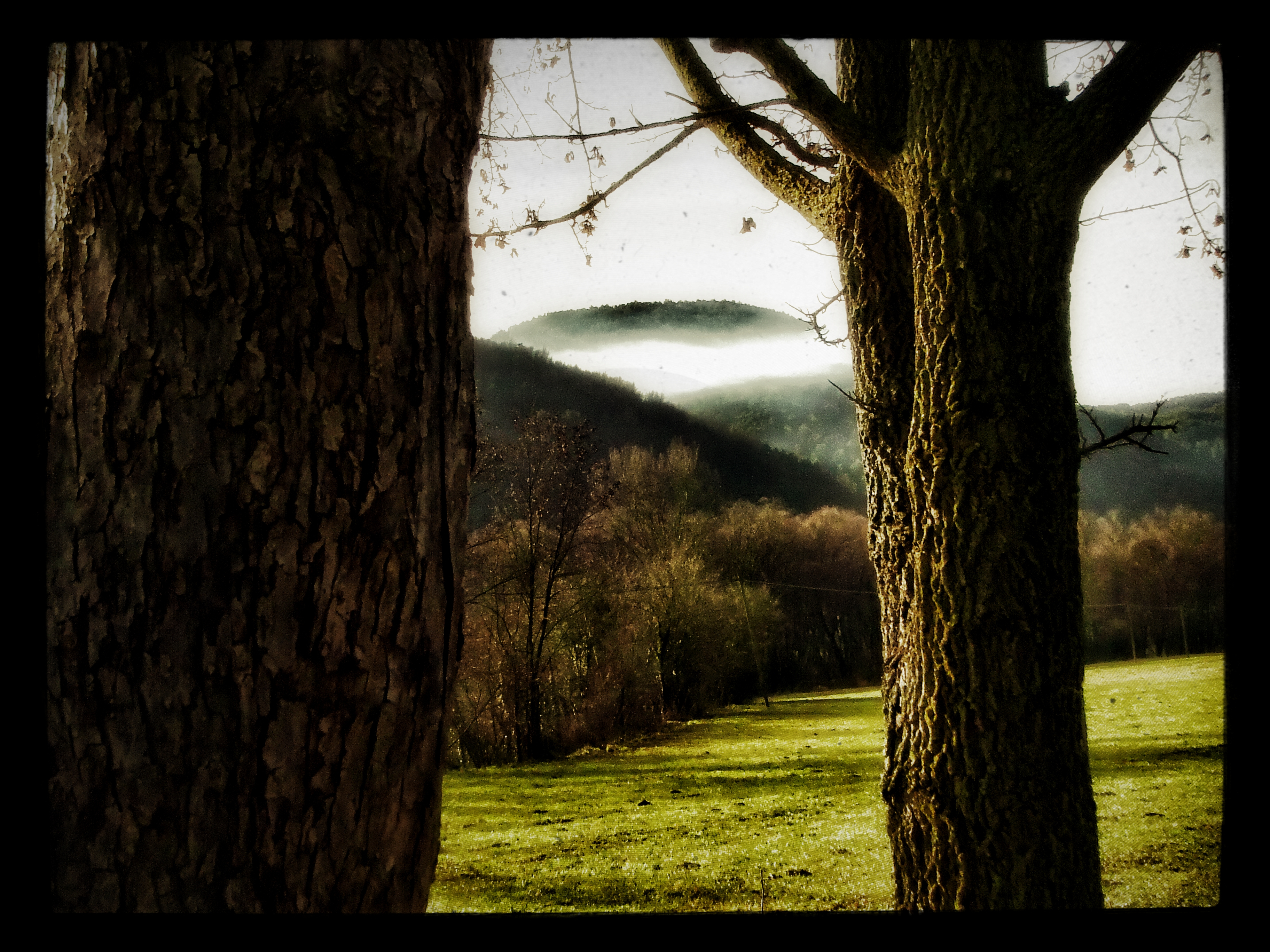 muerte-pura-2-dic-2016-fuji