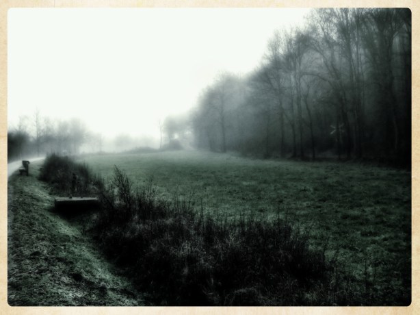 niebla-en-la-ruta-del-hierro-dic-2016-fuji-copy