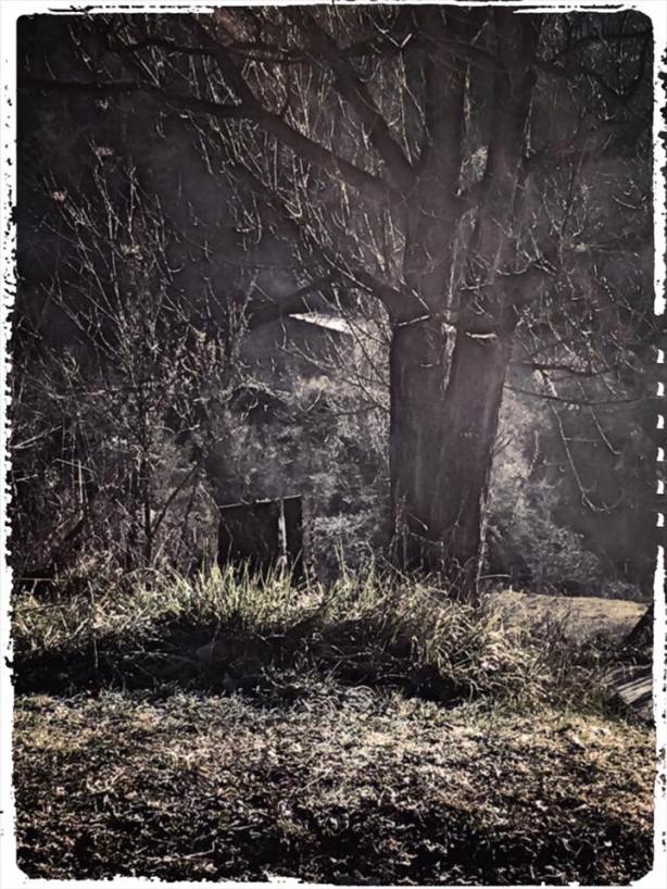 15826353_1370706846304782_7721589641735524221_n