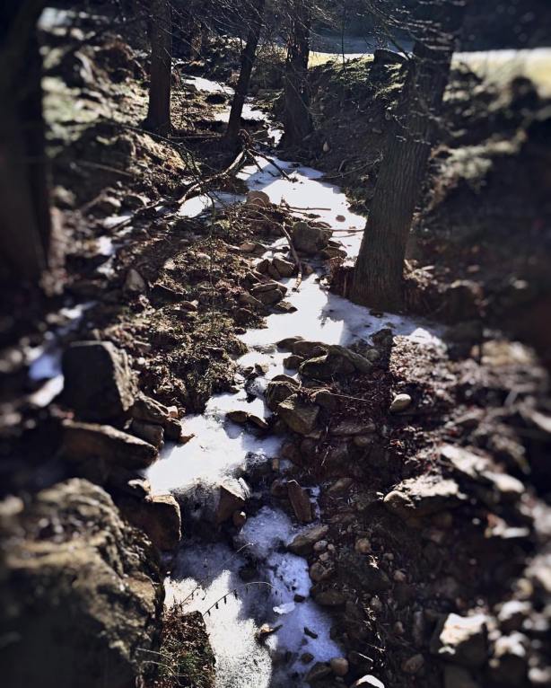 15936995_10211955658347849_3313864204322798181_o