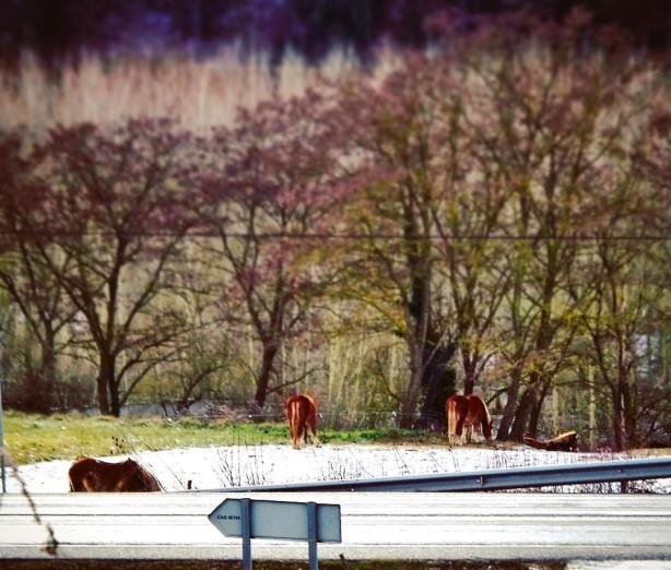 15972789_10212027604466457_3831021660215116852_o