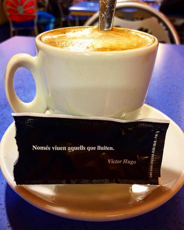 16143590_10212046485218464_693173921245671775_o