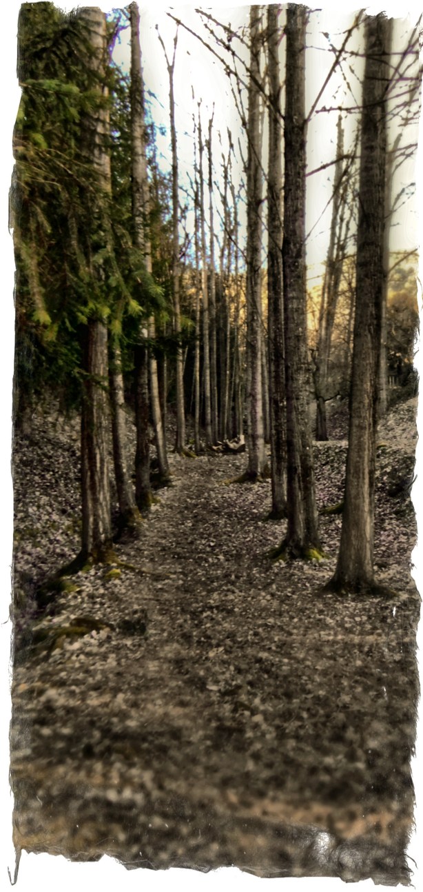 camino-a-nada-ene-2017-ruta-fuentes-fuji