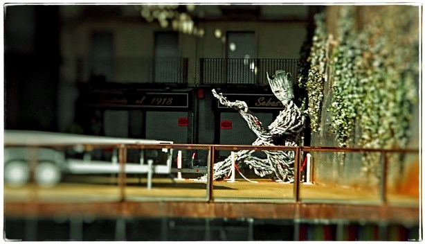 hombre-arbol-1-ene-2017-fuji