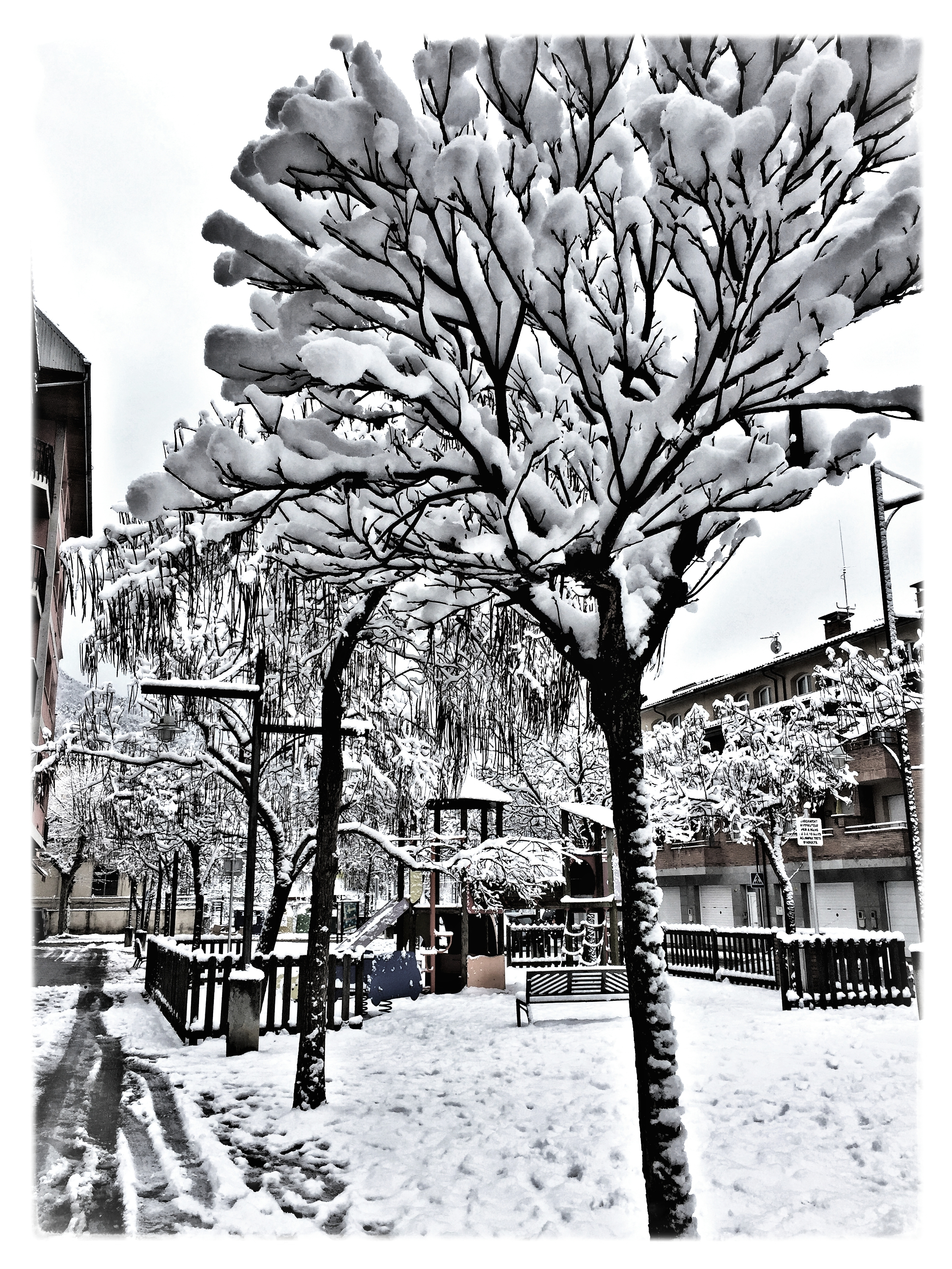 la-blanca-muerte-ene-2017-iphone