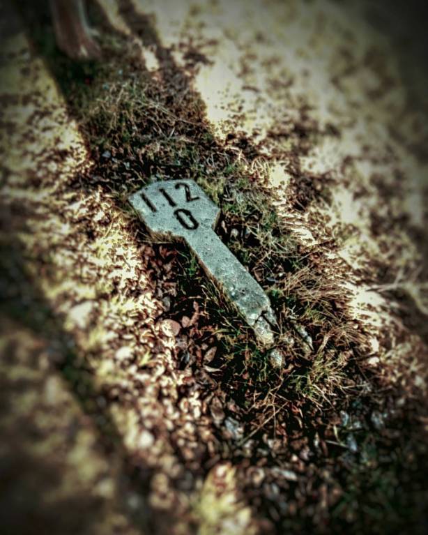 16665719_10212324795056036_8469947904950265572_o