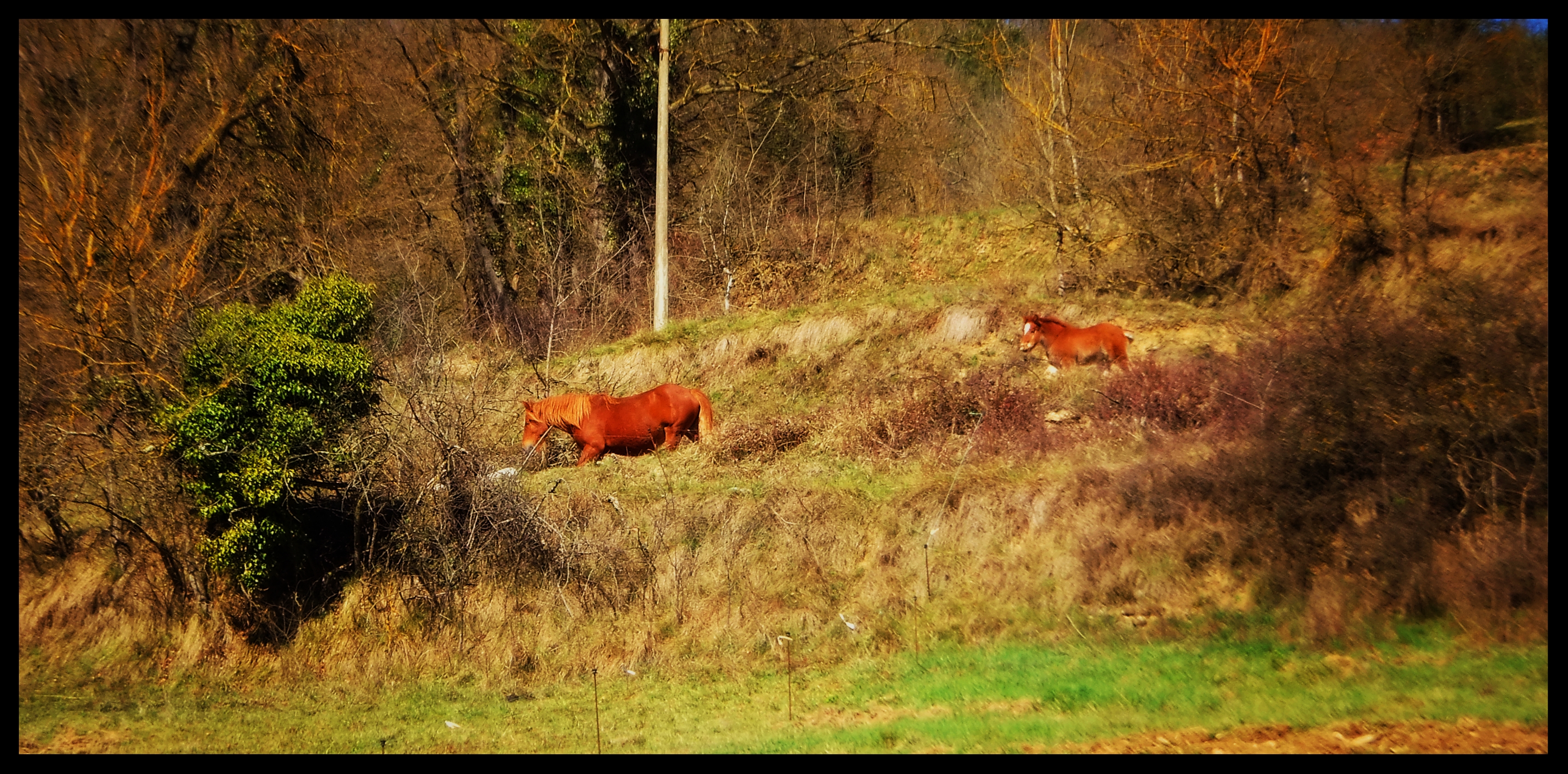 El silencio de los lunes. Marzo 2017. Fuji