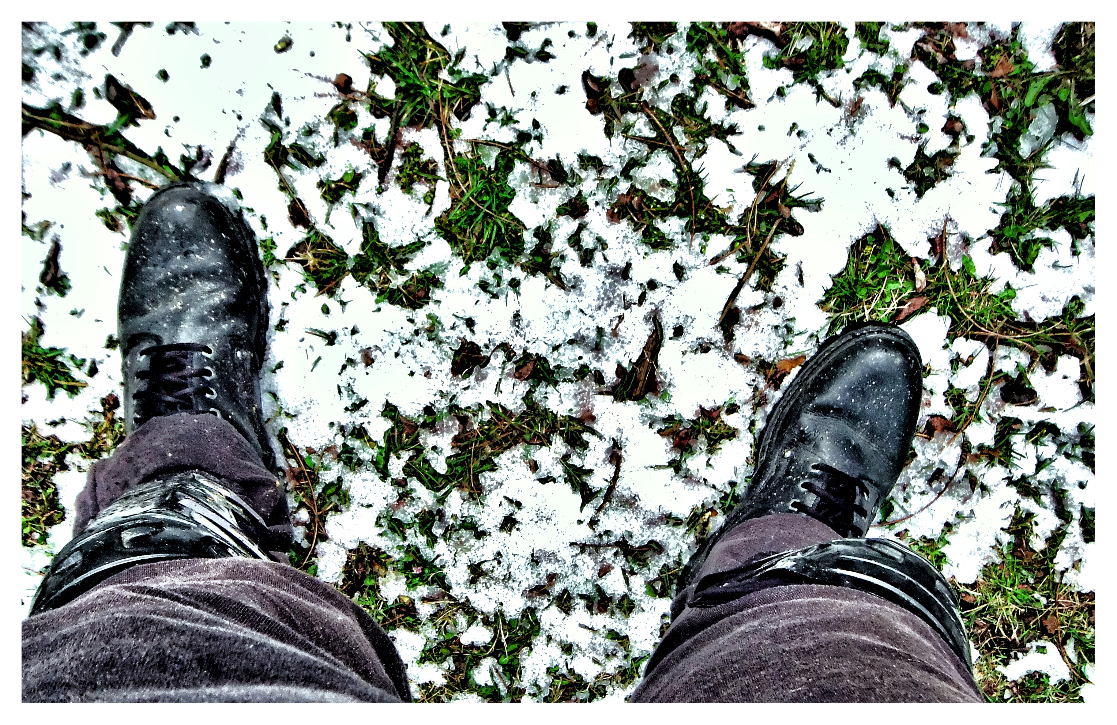 Enemigos y perdedores. Marzo 2017. Fuji