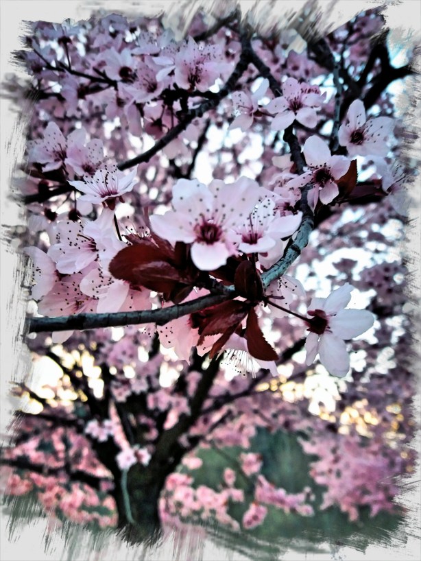 La fuerza de la belleza