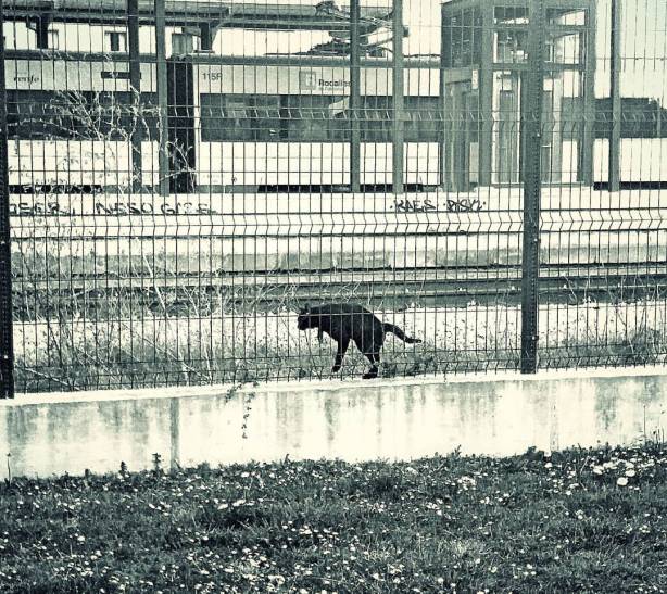 17505404_10212822660182353_7228811695746871254_o