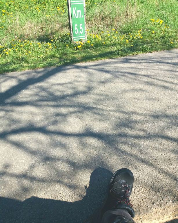 17637212_1485818208126978_4211639723286582294_o