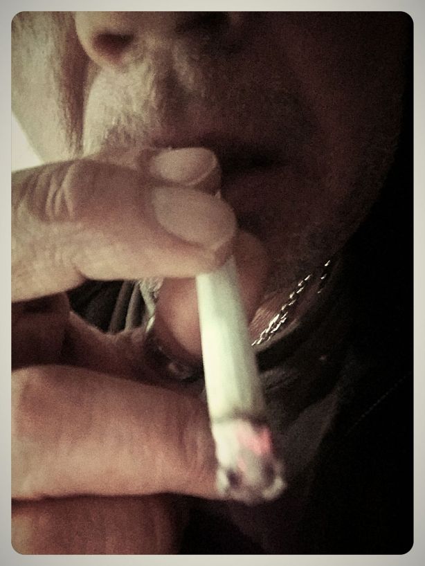 17761224_1485266911515441_4364206587878356852_o