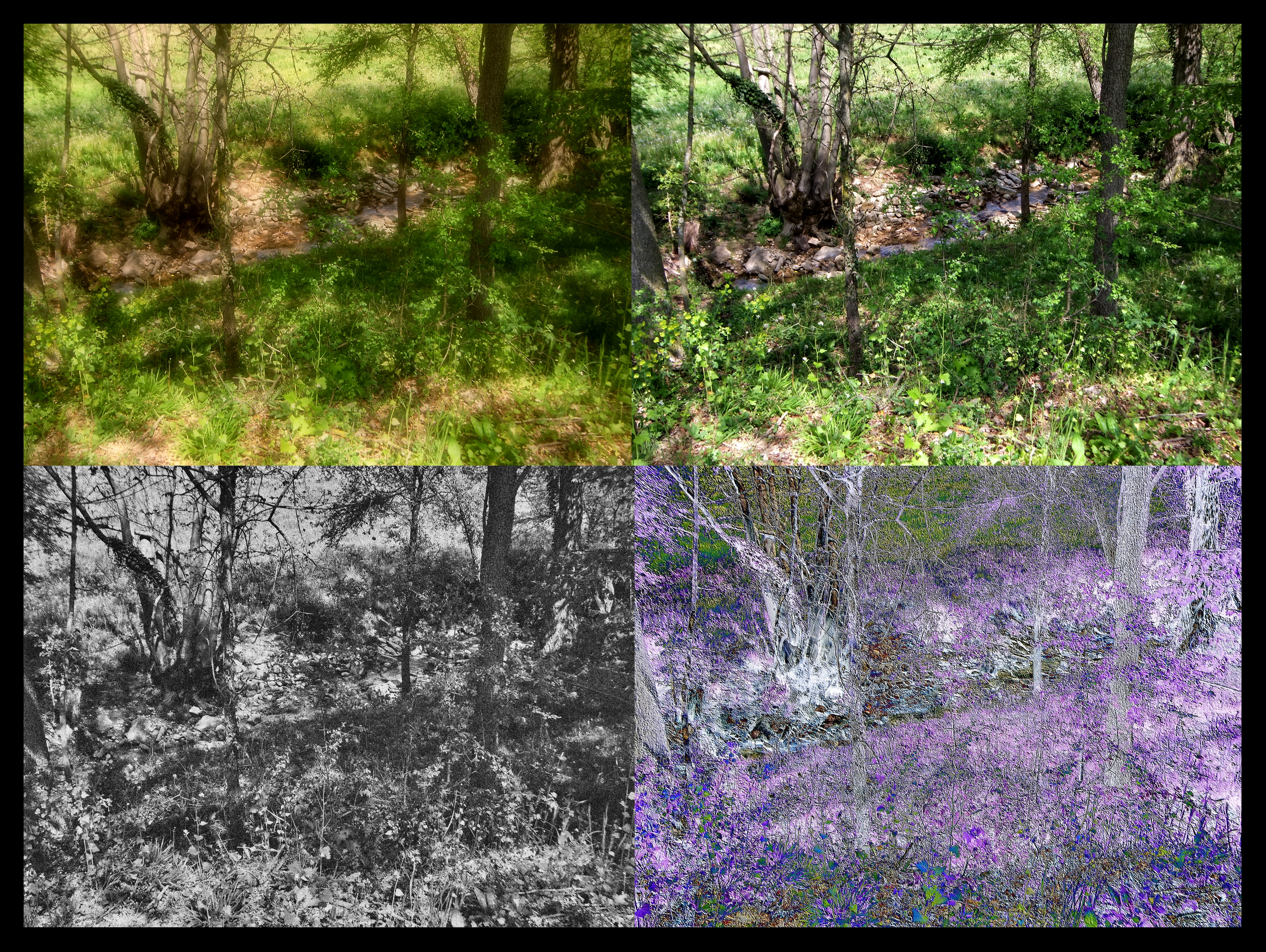 Realidades y virtualidad