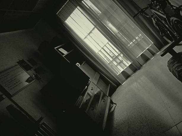 20507263_10214073955143945_572838052387188044_o