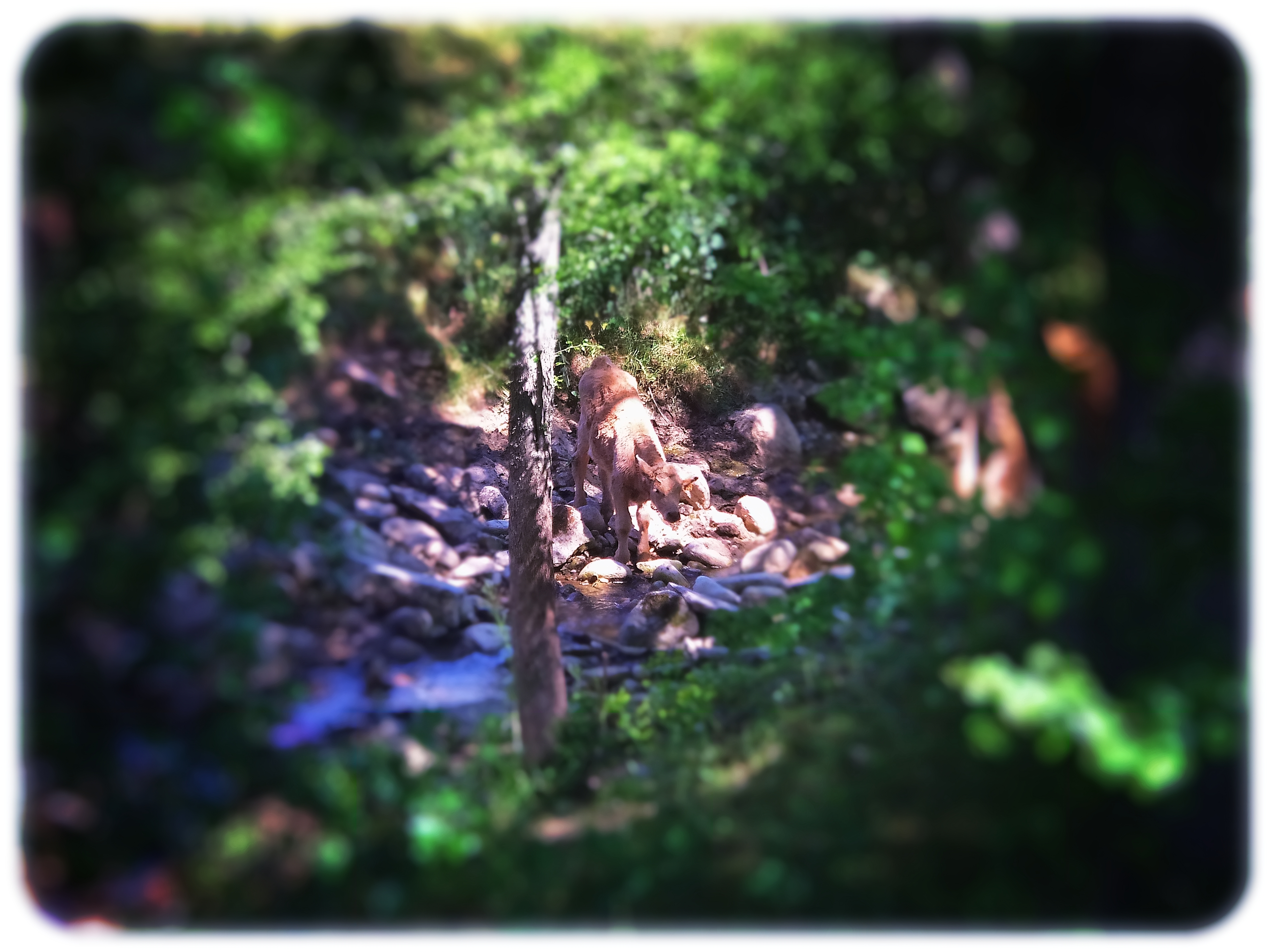 La verdad de las cosas hermosas