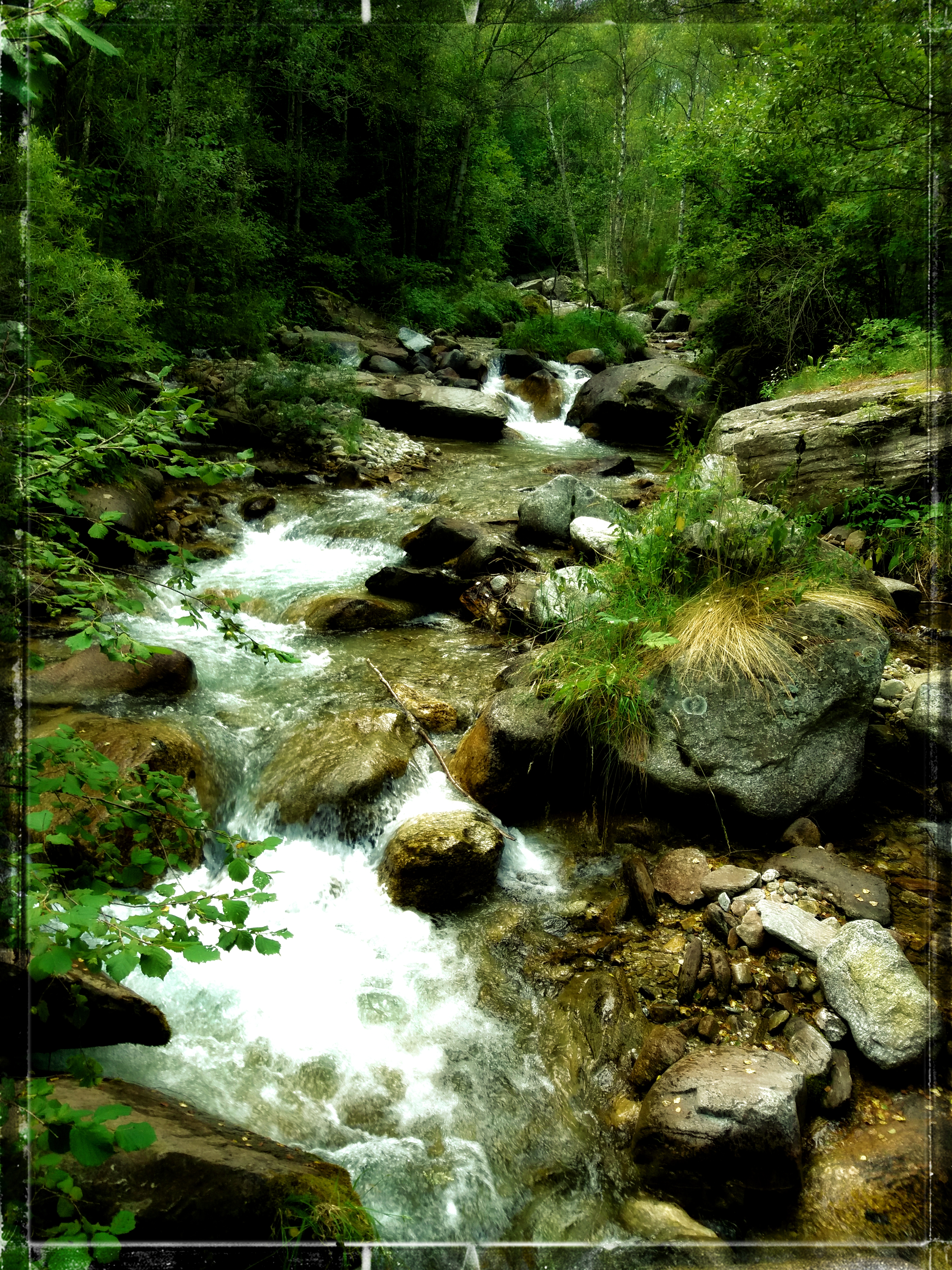 Ríos y ríos de gente