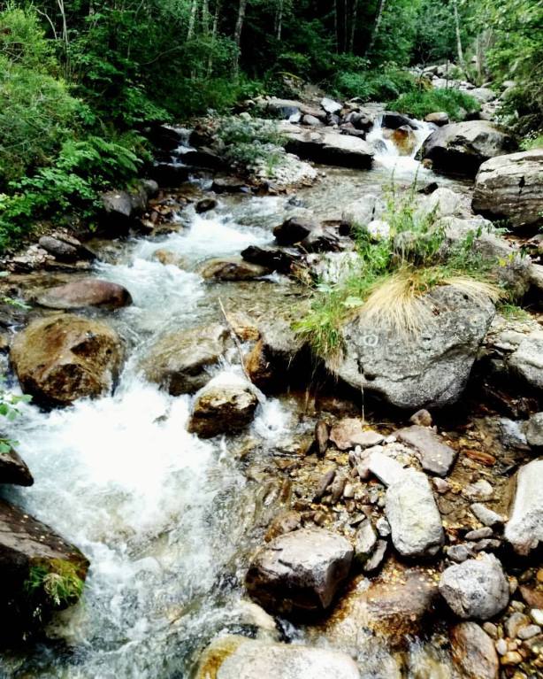 21457894_10214422761543887_3269137844033175397_o